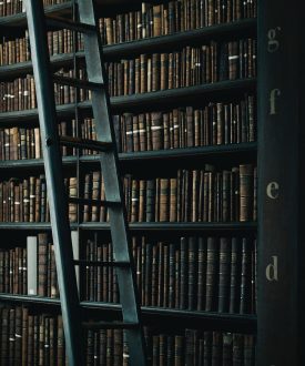 henry-be-lc7xcWebECc-unsplash komprimiert Kopie